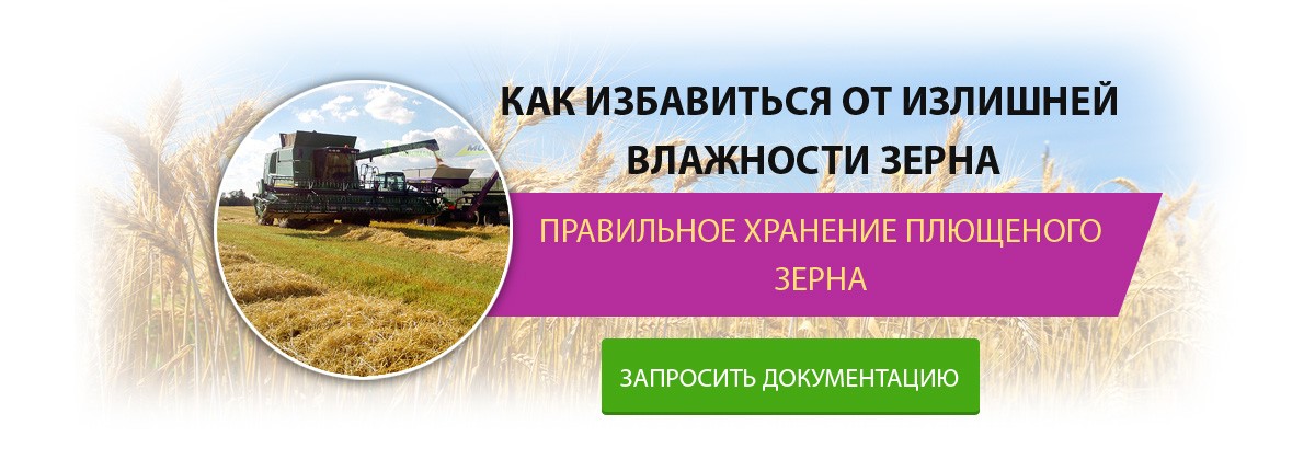 Как избавится от излишней влажности зерна при хранении